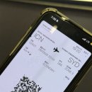 메디슨167 | 아시아나항공 OZ601/OZ602 시드니-인천 왕복 후기(A380) / 시드니입국심사