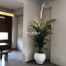 애란농장 이미지