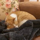 호아마라탕 이미지