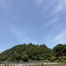 진천 홍보리 | 진천 농다리 미르309 출렁다리 직접 다녀온 솔직후기 (주차, 초평호 미르숲 산책로 팁)