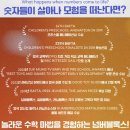 진리수학영어 | 대구 수성아트피아 '넘버블록스 뮤지컬' 앵콜공연 내돈내산 생생 후기(주차/포토존 꿀팁)