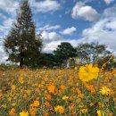 강변공원 이미지