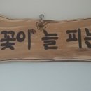 동백꽃이 피는 계절에~~~~ 이미지