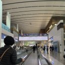 호텔피어48 | 태국 푸켓 4박6일 4인가족 자유여행 후기(맛집,가성비 호텔,시밀란섬,피피섬,타이거킹덤,센트럴 알로alo)