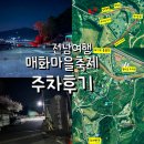 홍싸리 | 광양 매화축제 주차장 후기 주차 꿀팁 추천 주차 위치 정리