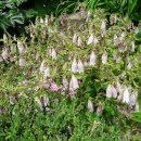 반산초등학교 이미지