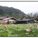 동림청과