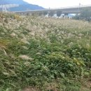 지인내과의원 이미지