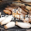 당리냉삼 이미지