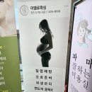 평촌 이엘로왁싱 임산부 슈가링왁싱 후기