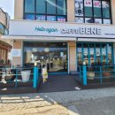 카페베네보령