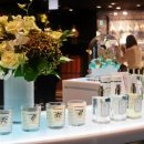 월드타워 이미지