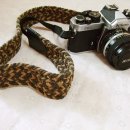 노스텔지어 이미지