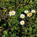 세이블모텔 이미지