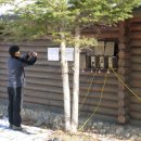 덕유대자동차야영장 이미지