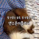 댄스온더플로어 털 안 붙는 잠옷 이불 내돈내산 후기