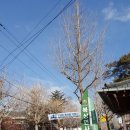 거창-북상-3 이미지