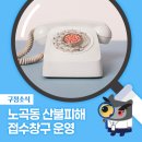 조야분소 이미지