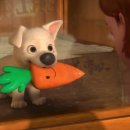 뽀송강아지 이미지