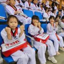 한국체대 탑 태권도장 이미지