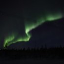 헤이연어 (Hei연어) 이미지