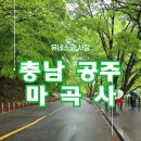 자연이야기 | 공주 마곡사 후기｜유네스코 사찰 자연 속에서 걷기 좋은 힐링 여행