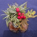 국풍