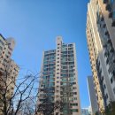 가양초교 정문 앞 이미지