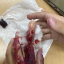 서초등학교 이미지