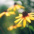 경남용추민박 이미지