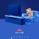 씨제이안경 이미지