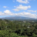 세계성문화박물관 이미지