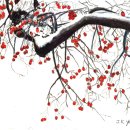 나무와색연필 이미지