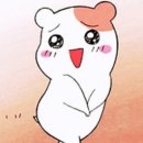 루베이크샵