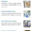 소소절절 꽃이야기 네이버블로그
