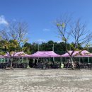 녹산동행정복지센터 이미지