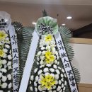 한독병원 이미지