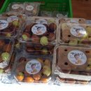 쇠똥구리 농장 이미지