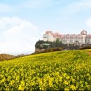 대명리조트 이미지