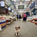 깨비식당 이미지