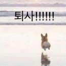 비원(B1) 네이버블로그