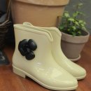 까멜리아 플라워 이미지