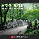 [ 35인승 2026년 9월 19일 토요일 ]정선 모정의 탑으로 유명한 노추산 오지산,야생화 산행 안내 이미지