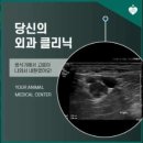 신영통동물병원 이미지