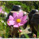 산들산들 민박 이미지