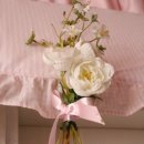 강촌 러브레터 펜션 이미지