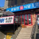 사파동206 이미지