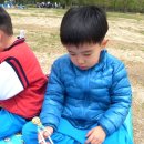 영우과일 이미지