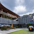 내몸편안한의원 이미지