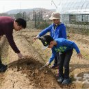 박동호농장 노컷뉴스